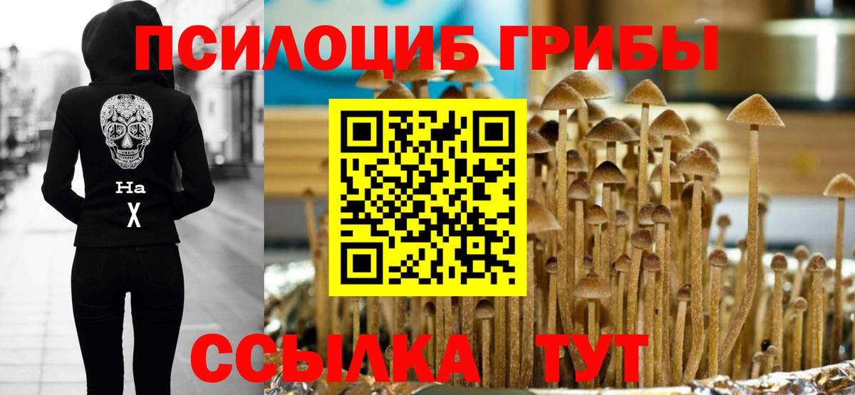 Псилоцибиновые грибы GOLDEN TEACHER Щёлково